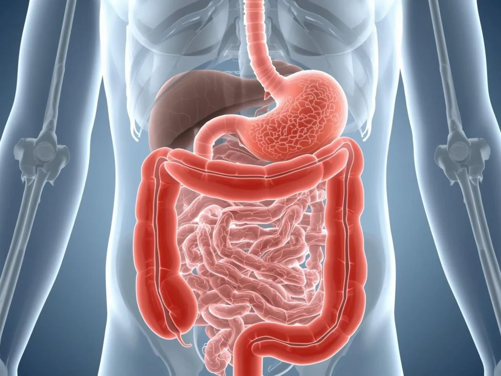 Take Gaviscon for GERD